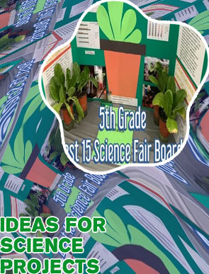 Best science experiments for science fair