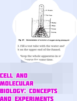 Cell biology experiments