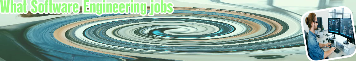 Computer software engineer
