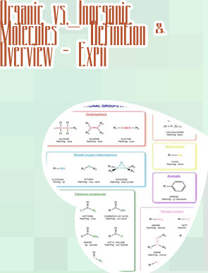 Define organic chemistry with example