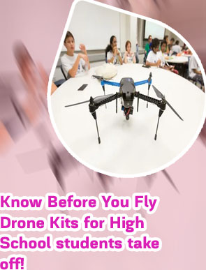 Drone stem activity