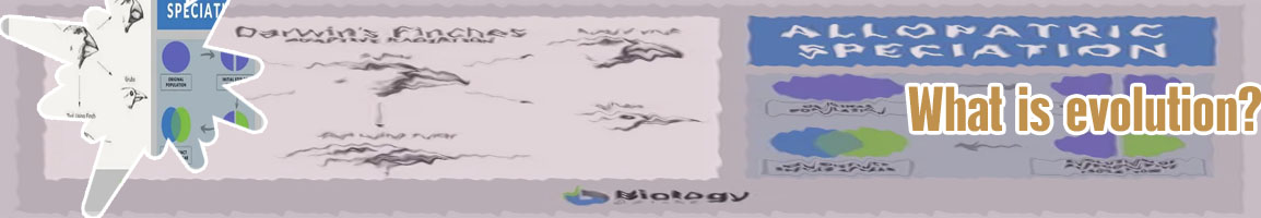 Evolution definition biology