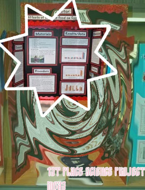 First place science fair projects