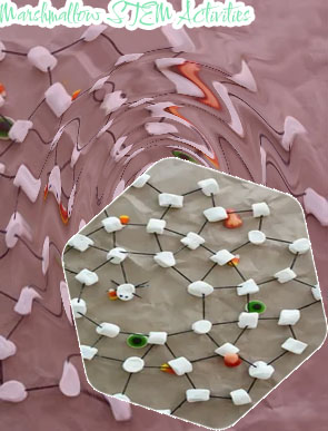 Marshmallow stem activity