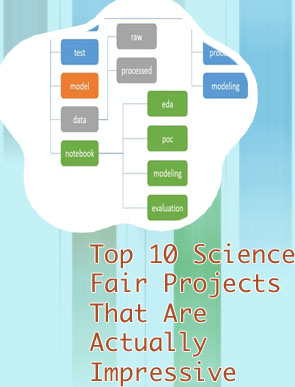 Science project best model