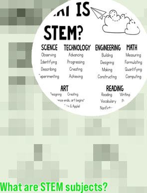 What does it mean stem