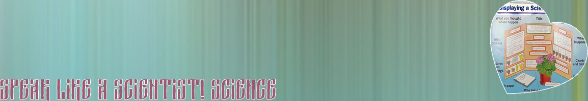 What is a good science fair project